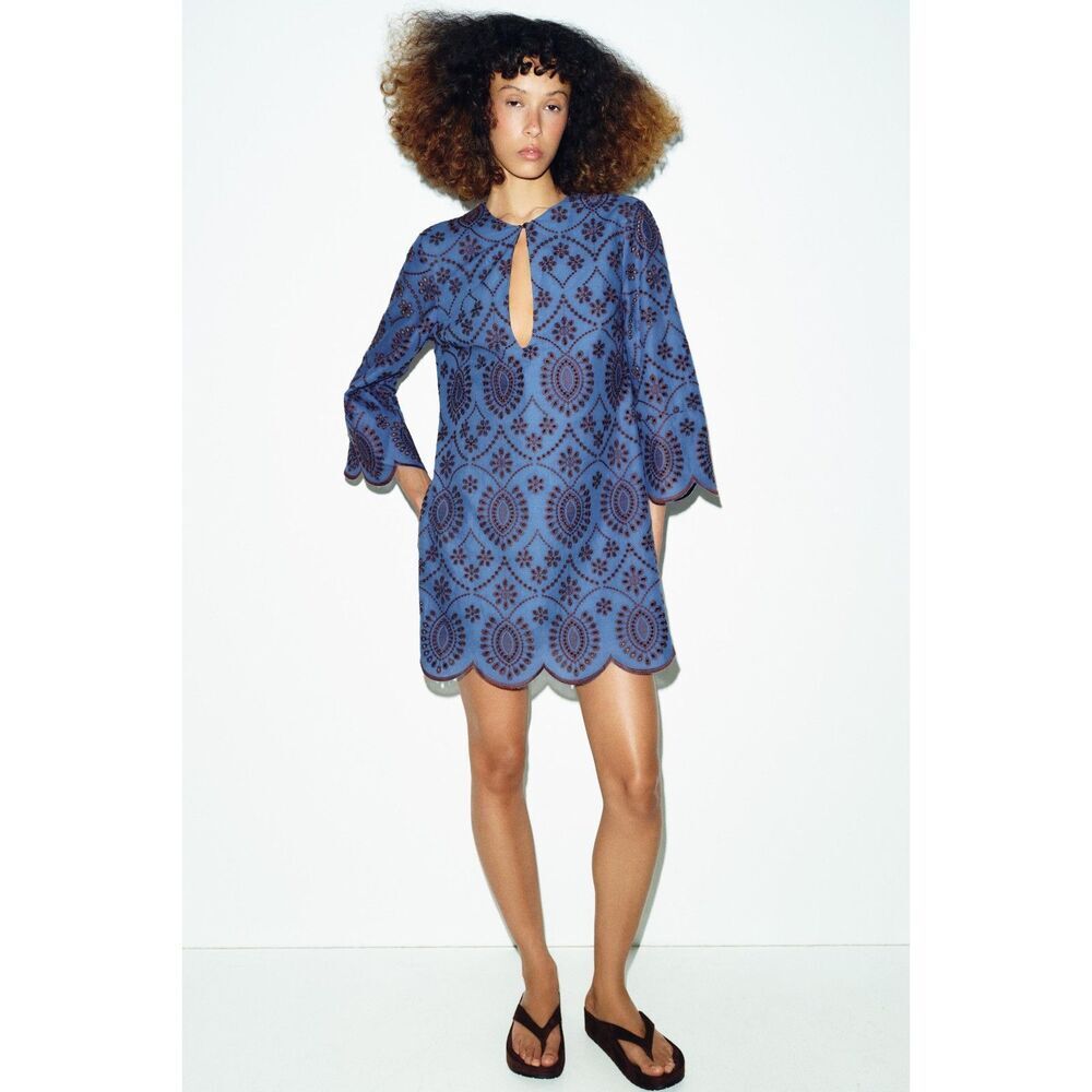 NWT Zara Embroidered Eyelet Mini Dress Brown Blue Size S Sold Out